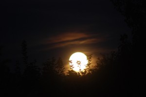 Midnight Moon2