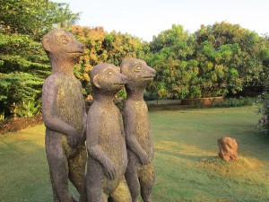 Three mongoose